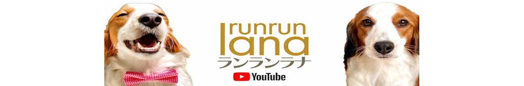 ランランラナ / コーイケルホンディエという犬との愉快な暮らし