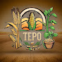 Tepo6800