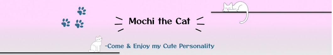 Mochi the Cat