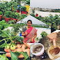 Bobbili Anitha's Terrace Garden