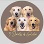 5 Shades of Golden