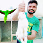 Village pet birds 1.2M دیہاتی پالتو پرندے