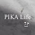 PIKE Life 天然石・龍亀・パワーストーン