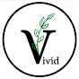 Vivid Home Cookery