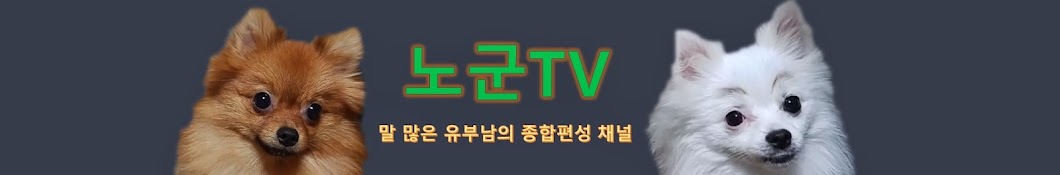 노군TV(part of pond)