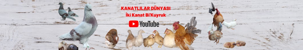 İKİ KANAT Bİ' KUYRUK