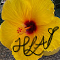 Hibiscus Lover Adventures