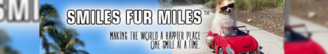 Koda the Fluff Banner