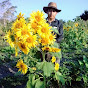 luis eduardo girasoles🌻