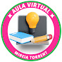 Mireia Torrent - Aula Virtual