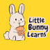 Little Bunny Learns