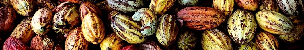 Vivaelcacao