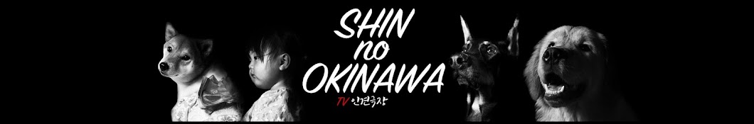 TV 인견극장 [Shin no okinawa] 