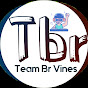 TEAM BR VINES STUDY