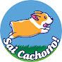 Sai Cachorro