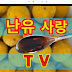 난유사랑 DIY TV