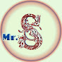 Mr. S