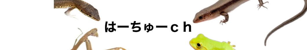 はーちゅーch