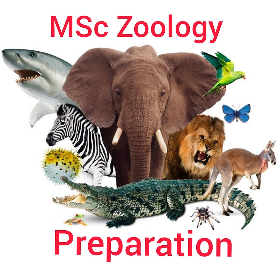 dissertation topics for msc zoology