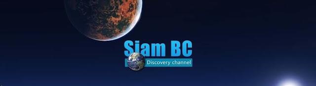 SIAM BC-Discovery