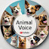 Animal Voice