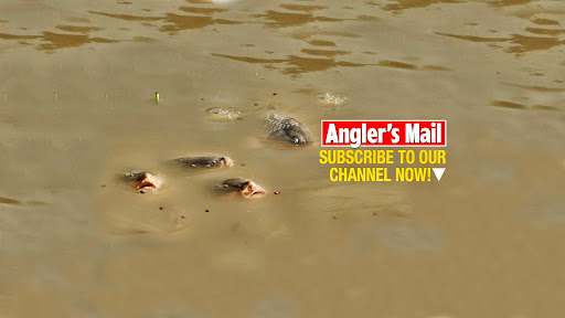 Kanal kapak resmi