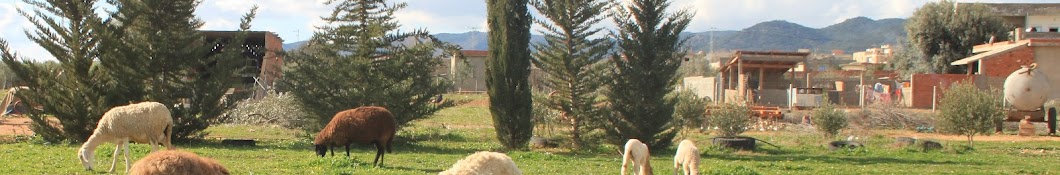 weslati farm /مزرعة الوسلاتي 