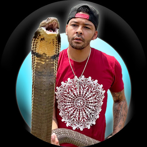 influencer profile picture