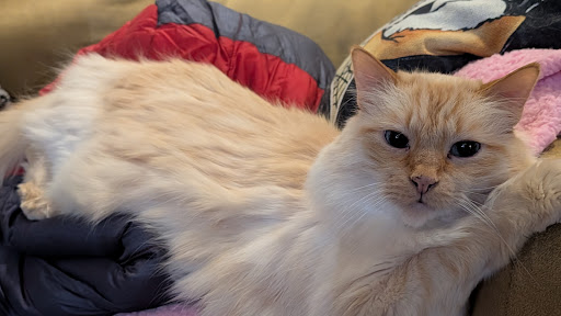 Profile Banner of MrTahoe 
