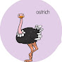 Ostrich Recap