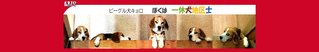 ビーグル犬キョロ　ぼくは一休犬地区士