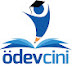 Ödevcini