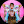 dncrdance avatar