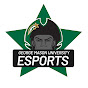 GMU Esports