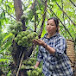 Hoàng Thất Tử Farm Life