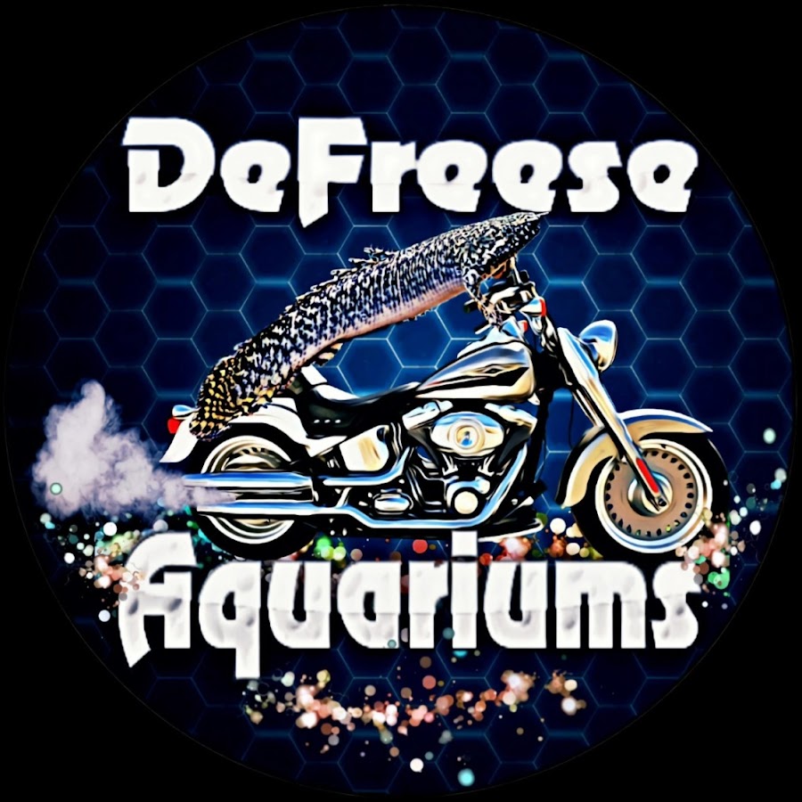 DeFreese Aquariums (Aka Rob)