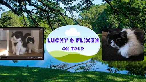 LUCKY & FLIXEN ON TOUR banner