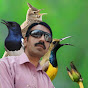 Malik song Birds hobby