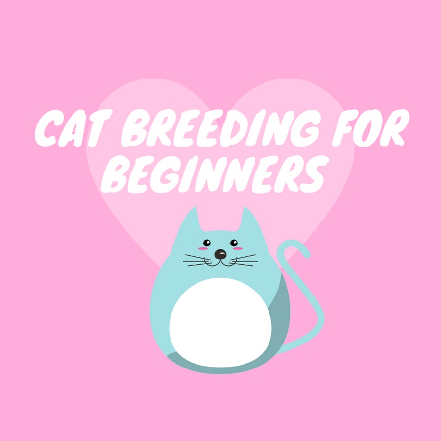 Cat Breeding for Beginners