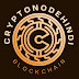 logo CryptoNodeHindi