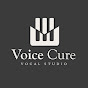 VOICE CURE VOCAL STUDIO 