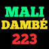 MALI DAMBE 223