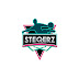 logo steqerz