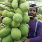 Help Agro Bangla