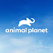 Animal Planet