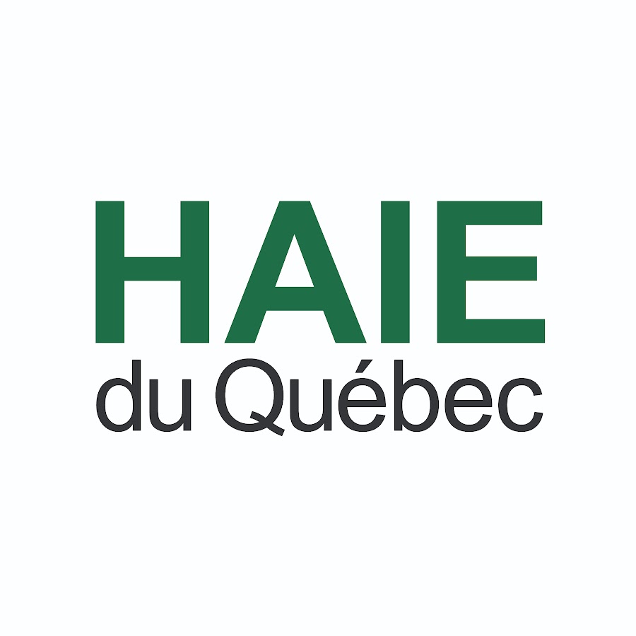 Haie du Québec YouTube