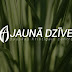 Jaunā Dzīve, Bauska