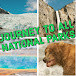 Journey to All National Parks