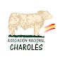 ASOCIACION NACIONAL DE CHAROLÉS