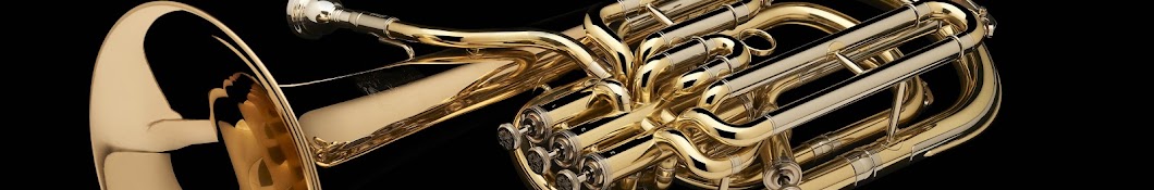 Alto Saxophone – SAX200 – Wessex Tubas